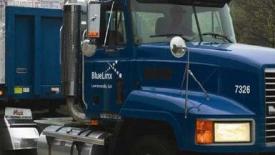 Blue-Linx.JPG