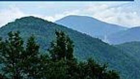 Fire Shuts Down Blue Ridge Panel 