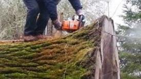 Cutting Up a Big Walnut Log