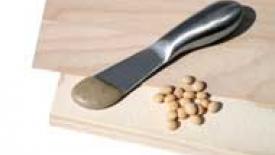 Formaldehyde-Free Plywood