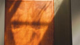 European-style laminated doors