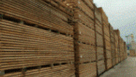 Coastal Lumber 145.gif