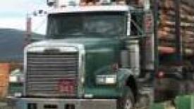 Conifex to acquire lumber distribution business