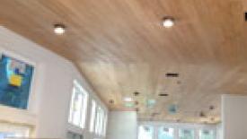 Cypress Stars in New Ty Pennington TV Series