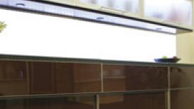 Aluminum Doors
