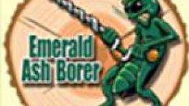Emerald_Ash_Borer_Logo_145.jpeg