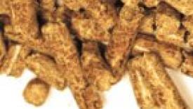 Major Wood Biofuel Deal Announced