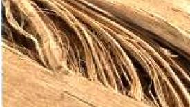 Eovations-fiber.JPG