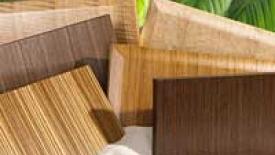 Exotic Veneer Slab Doors