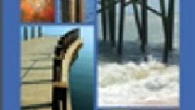 Forest Products Society announces treated wood text