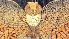 Firewood-Art.JPG