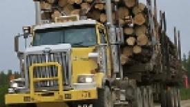 Canadian Forest Products Pushes for Greater Portion of Market