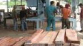 Furniture Brands Indonesian plant 'on track'