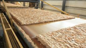 Georgia-Pacific to Hire 100 at OSB Mill