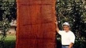 KILN-DRIED HARDWOOD