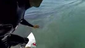 Kelly-Slater-surf.jpg
