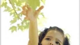 Kimball_arbordaySM.jpg