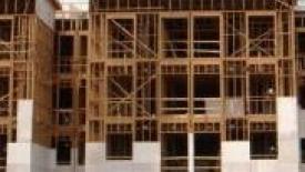 LPL-Wood-Building-Shrinks.JPG