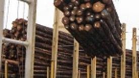 Logs  Grays Harbor.jpg