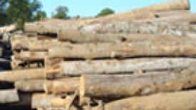 Lumber-145.jpg