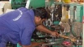 Fiji Pure Mahogany Brand Registered; Lacey Compliant