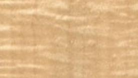Maple_Curly-145.jpg