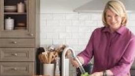 Martha-Stewart-Launches-MasterBrandb.jpg