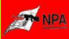 NPA-Flag2-145.png
