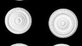 Ceiling Medallions