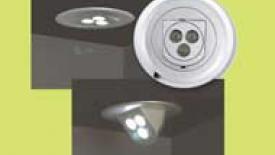 Swivel Light