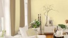 Pale Yellow Named 2014 Color of the Year by PPG PITTSBURGH PAINTS