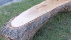 Pecan-Branch-Bench-Wunder-Woods-145.jpg