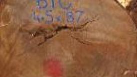 Cabinetmaker sues Cessna, Berkline bankrupt, KBIS cabinets top week's stories