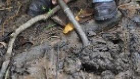 Wood Week: Housing spikes, China shakedowns, EPA biomass fines