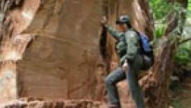 National Park Service