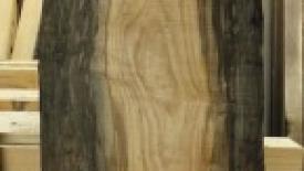 River-Logging-at-Wunder-Woods-145.jpg