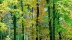 Rockler_earthdaySM.jpg