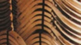 Sawyer hardwood 145.jpg