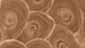 Schorn-and-Groh-butt-cut-veneer-145.JPG