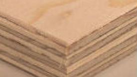 Spruce-plywood-145.jpg