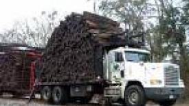 Stella-Jones acquires pressure treated wood manufacturer