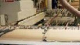 Supa Door plant145.JPG