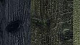 Surface-Yearbook-Silk-Wood145.jpg