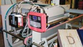 Gang Ripsaw Infeed System