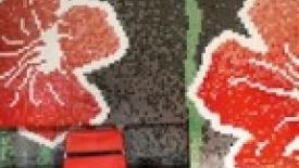 Trend USA offers custom glass mosaics