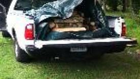 VATECH Firewood.jpg