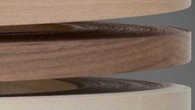 Veneer Tech