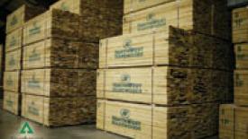 Environmental Wood Products