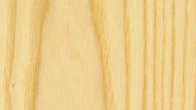 White Ash: A Hard Hit Wood