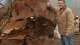 Wood-Mizer-Contest-Winner-thumb.jpg